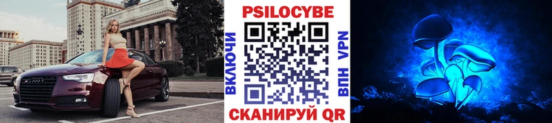 Галлюциногенные грибы Psilocybine cubensis купить закладку блэк спрут ССЫЛКА Камбарка